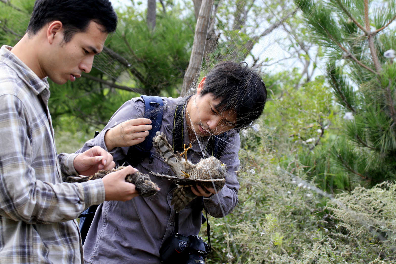 我今天发在大连日报上的两篇稿 - 辽宁版 Liaon