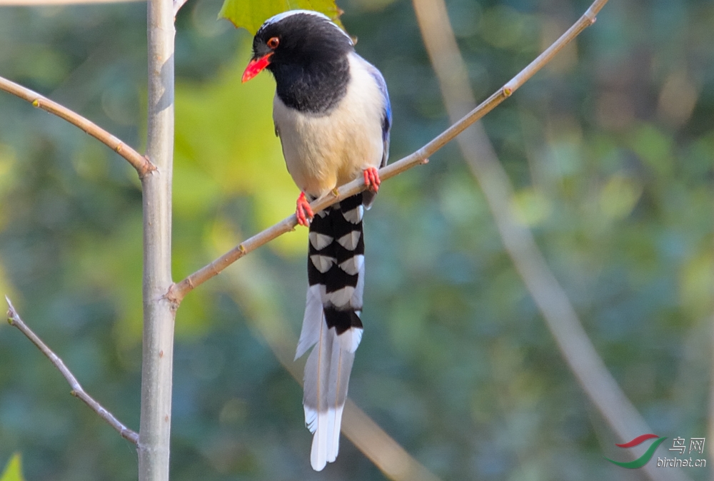 090737lvyd4eiqniyow4sy.jpg