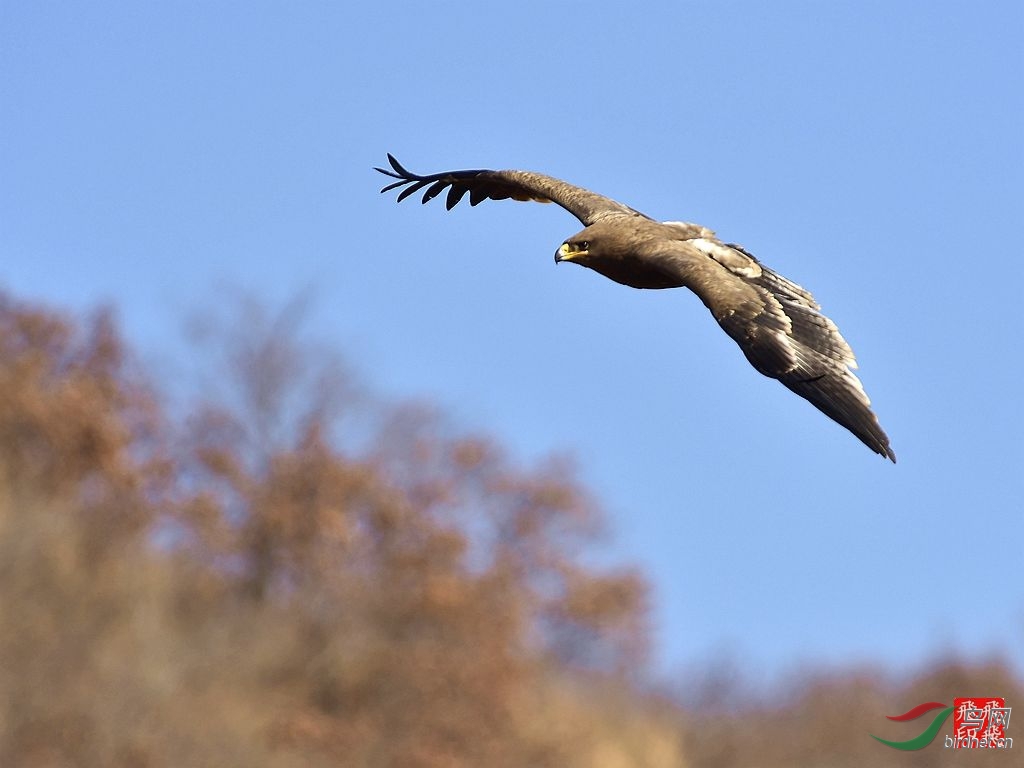 130347nx73xxdxixadp353.jpg