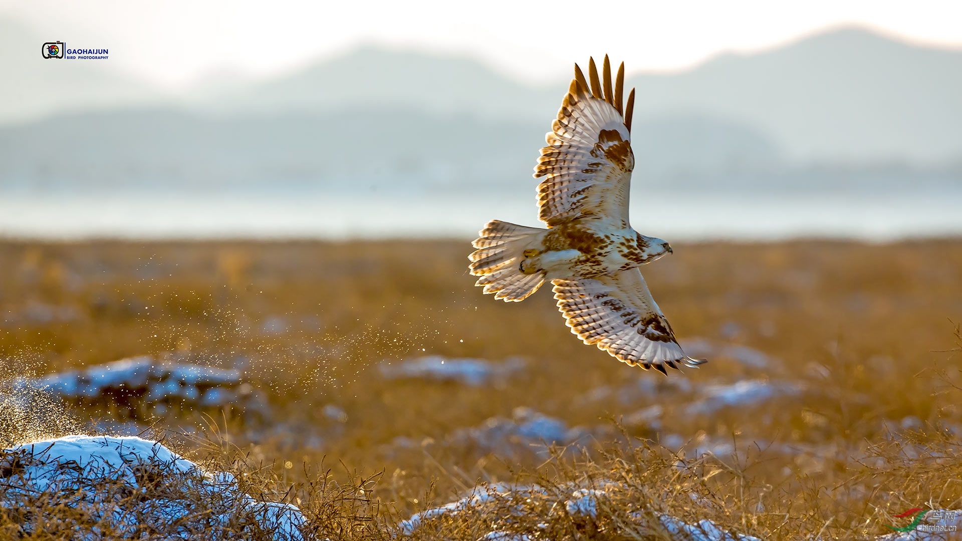 神奇的北京密云不老屯 - 综合版 鸟网