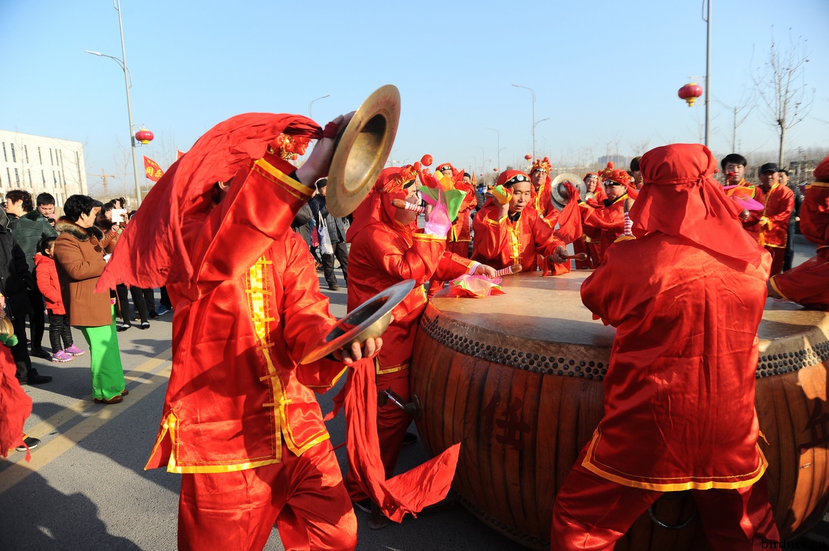 舞动任丘--祝鸟友元宵节快乐! - 人文纪实版 鸟网