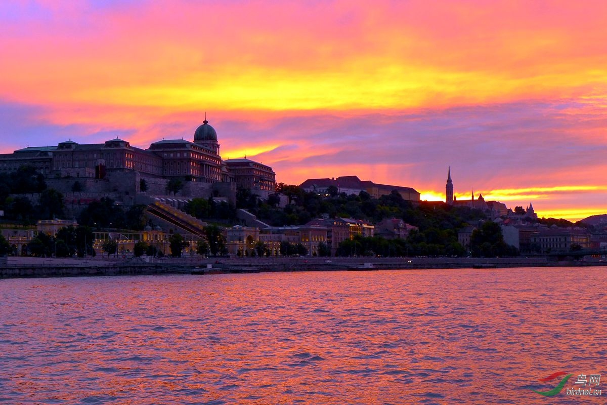 蓝色多瑙河 - 地理风光版 鸟网