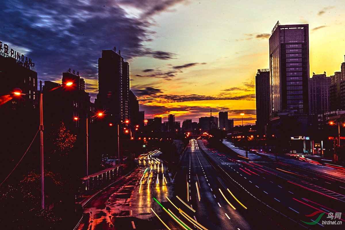 瞬息万变的云 ,鸟网