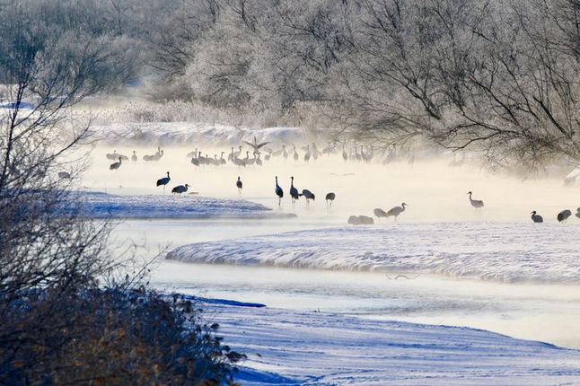 1508136381738916.png image.png