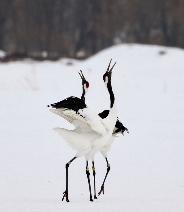 1508136475161415.png image.png