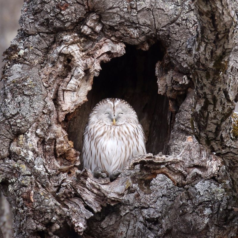 1535942201824855.jpg 微信图片_20180903103425.jpg