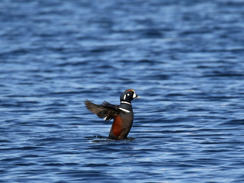 1535942313118000.jpg 微信图片_20180903103442.jpg