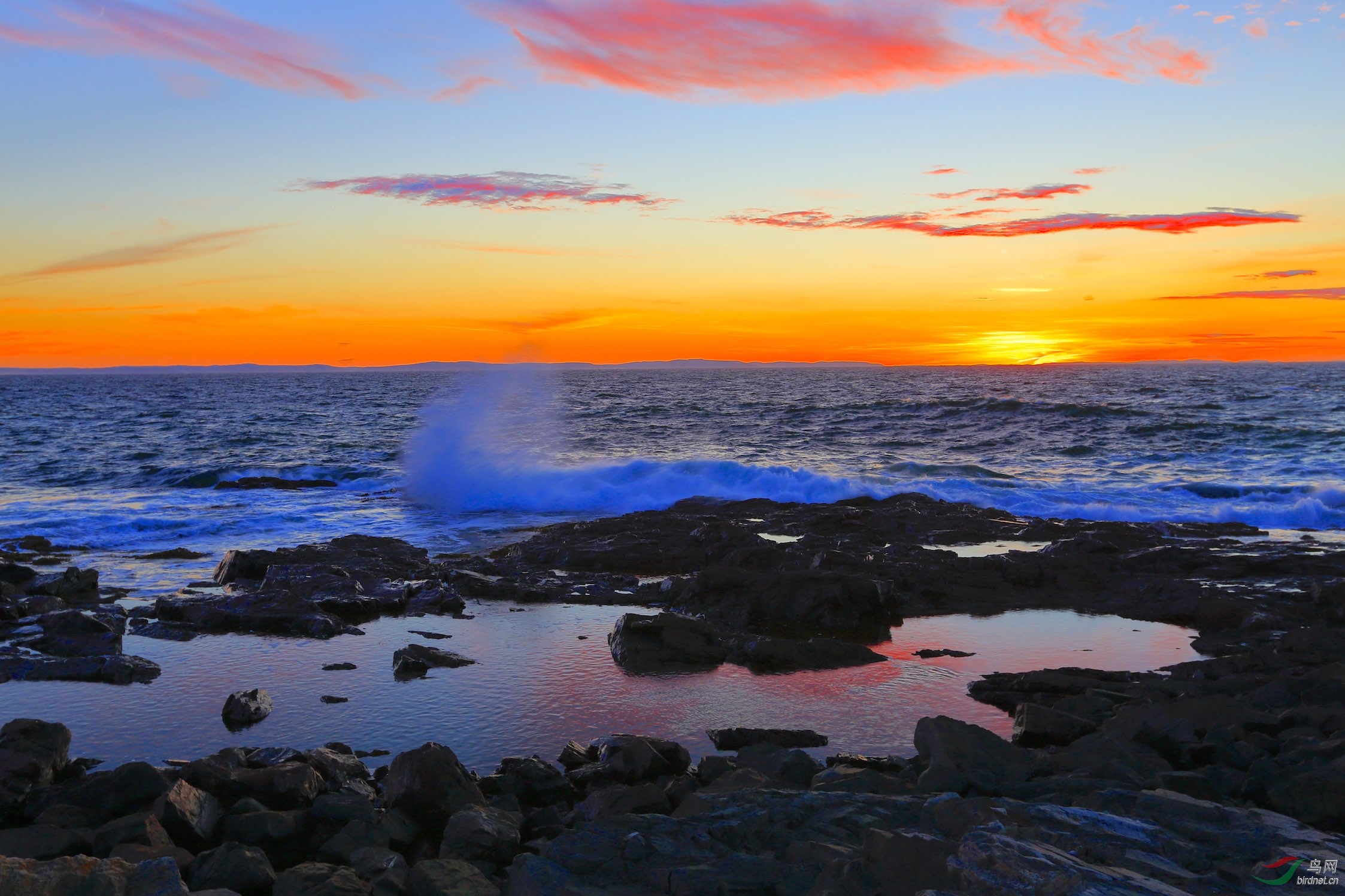 北大西洋晚霞 - 地理风光版 鸟网