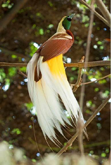 1487822393629532.png blob.png