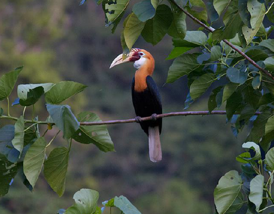 1487822494603283.png blob.png