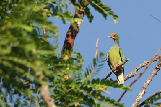 1487822589227018.png blob.png