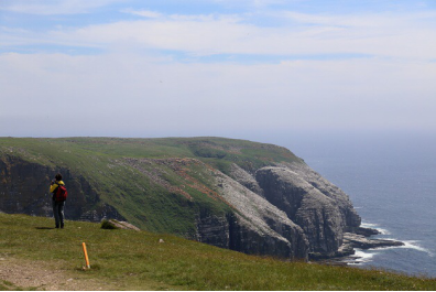 1489625602651501.png blob.png