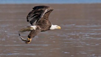 1495100060152771.png image.png