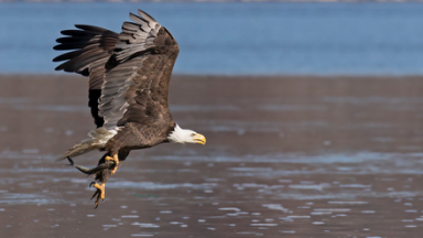 1495100895373921.png image.png