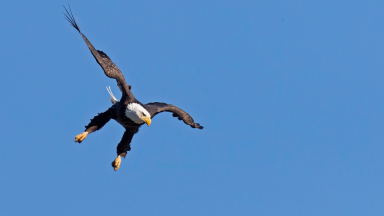 1495100925274005.png image.png