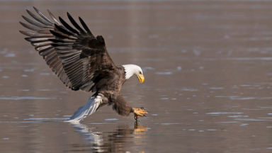 1495100952836555.png image.png