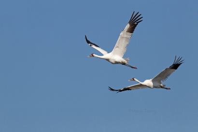 1495100989978670.png image.png