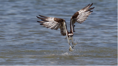 1495101009304365.png image.png