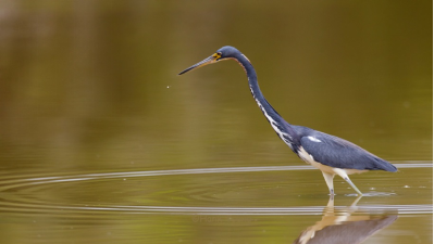 1495101013953637.png image.png