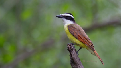 1495101026484976.png image.png