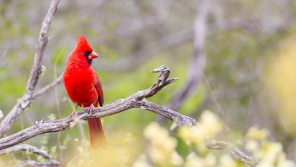 1495101038557554.png image.png