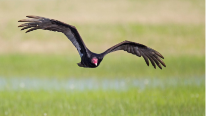 1495101078298539.png image.png