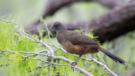 1495101088743221.png image.png