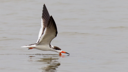 1495101093848145.png image.png