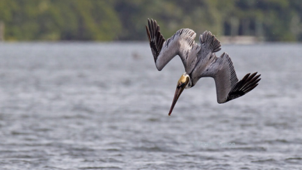 1495101118618454.png image.png