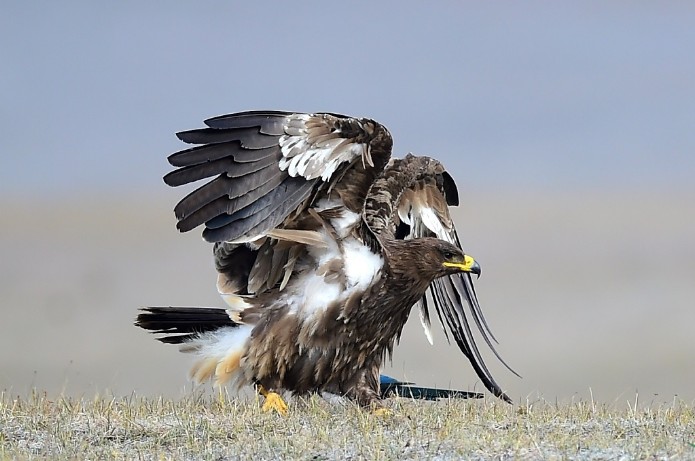 1495809515360094.jpg 1495809515360094.jpg