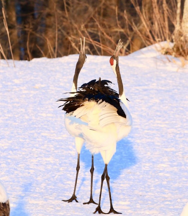 1508136557163568.png image.png