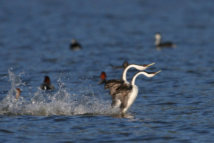 1516005880631705.png image.png