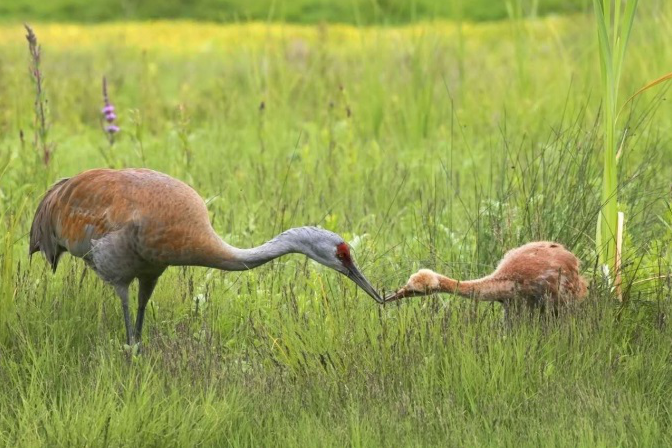 1516006183625032.png image.png