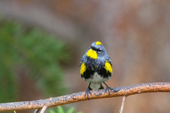 1516006254737826.png image.png