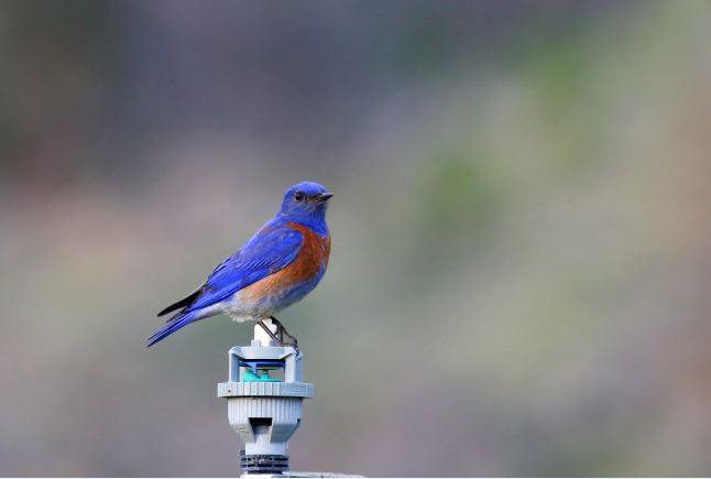 1516006287890293.png image.png