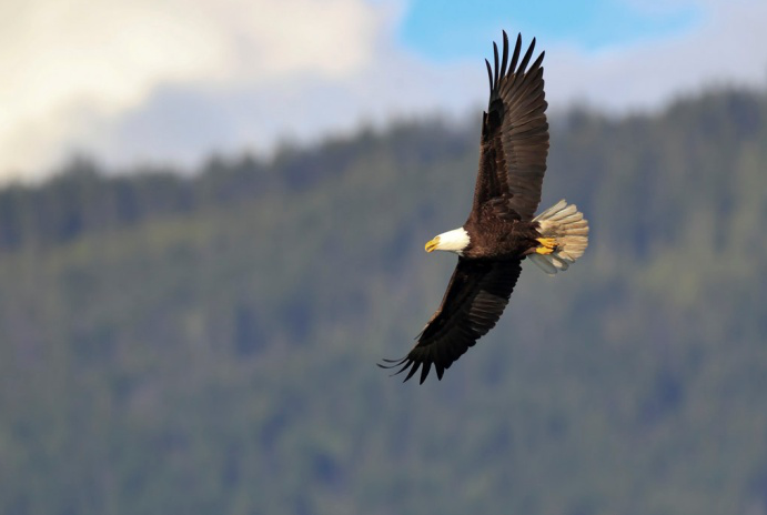 1516006340111267.png image.png