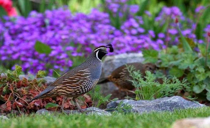 1516006365596766.png image.png