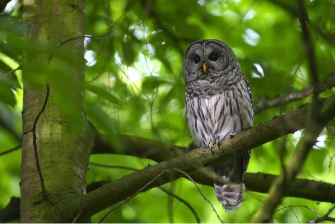 1516006476226015.png image.png