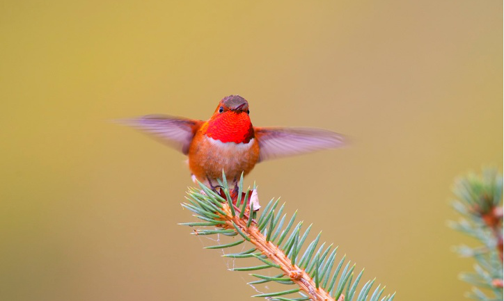 1516006560913864.png image.png