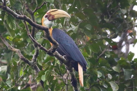 1516159948716169.jpg 1516159823(1).jpg