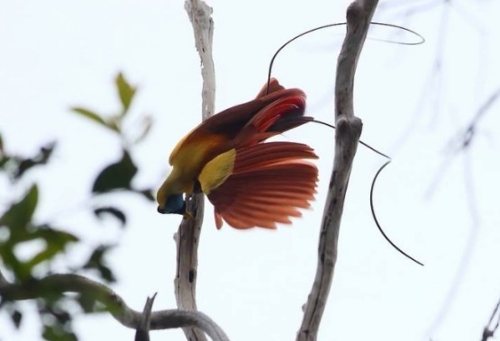 1516159969716886.jpg 1516159836(1).jpg