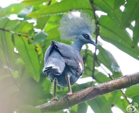 1516160035795642.jpg 1516159854(1).jpg