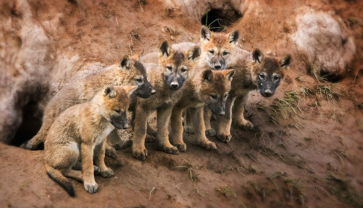 1519698369144426.png image.png