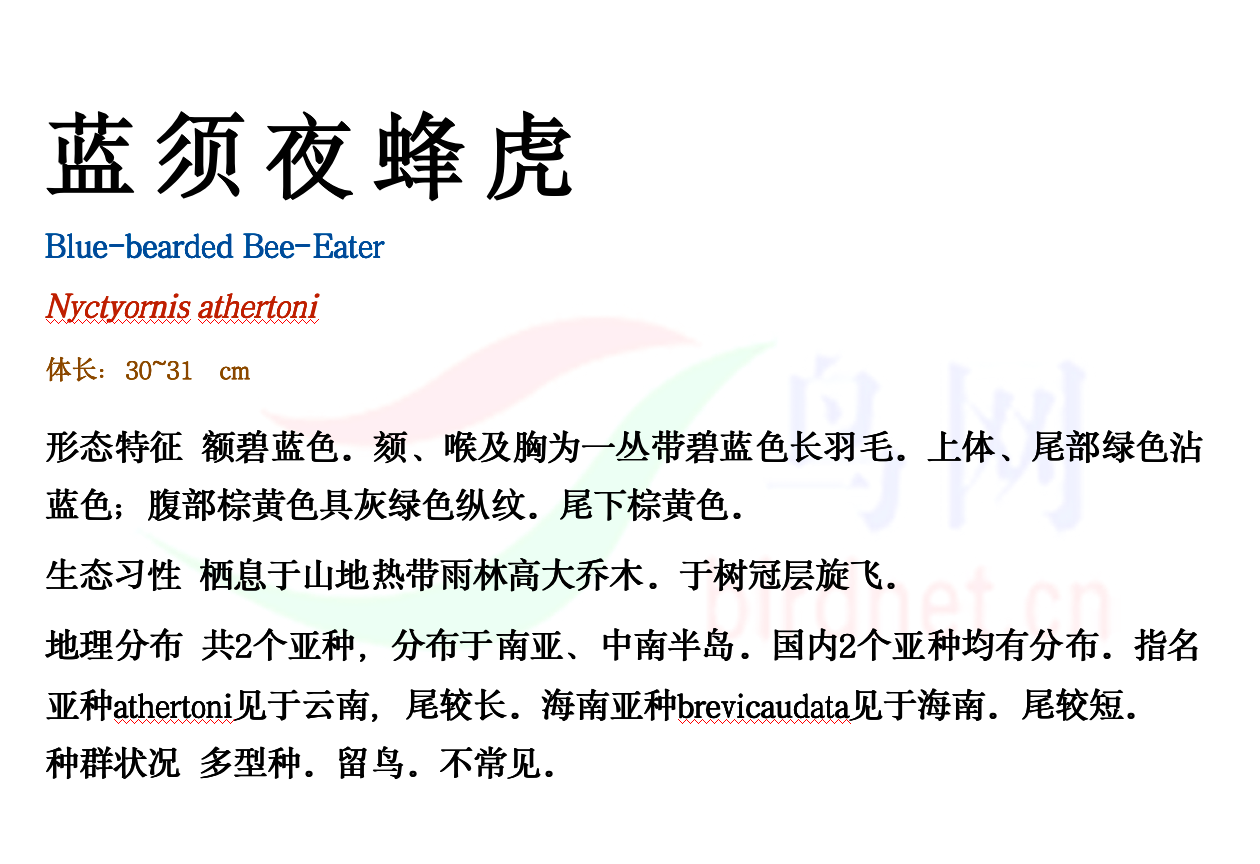 ����ҹ�仢-����.png