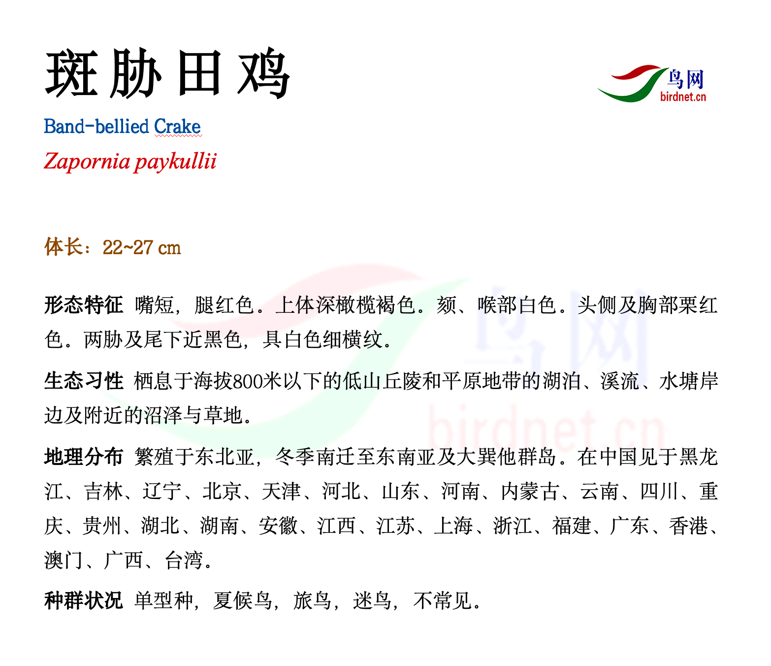 ��в�Ｆ-����.png
