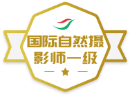 ������Ȼ��Ӱʦһ��ѫ��