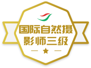 ������Ȼ��Ӱʦ����ѫ��