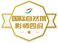 ������Ȼ��Ӱʦ�ļ�ѫ��