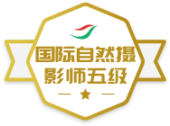 ������Ȼ��Ӱʦ�弶ѫ��