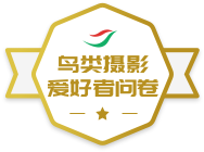 ������Ӱ�������ʾ�ѫ��